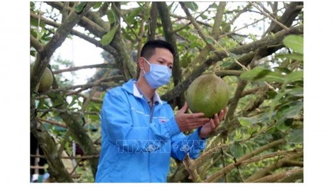 Chàng trai làm giàu ở huyện miền núi Như Thanh