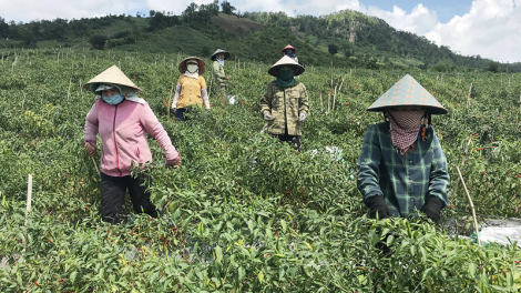 Xây dựng nông thôn mới: Nhiều khó khăn, thách thức