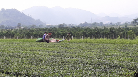 Nông dân miền núi lao đao vì cái gì cũng tăng giá