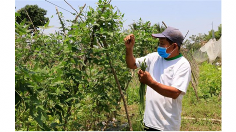 Nhân rộng mô hình sản xuất nông nghiệp hữu cơ