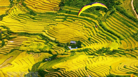 Festival dù lượn “Bay trên mùa vàng” 2022