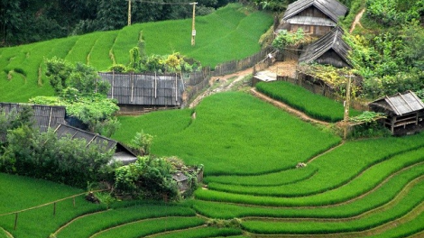 Bắc Hà điểm du lịch hấp dẫn nơi cao nguyên trắng