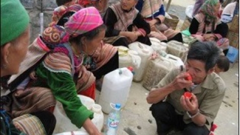 khau tin 10h30 saong 14h30 harei 11/5