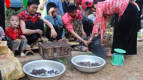 La liêm pr’hay chợ phiên Muổi Nọi