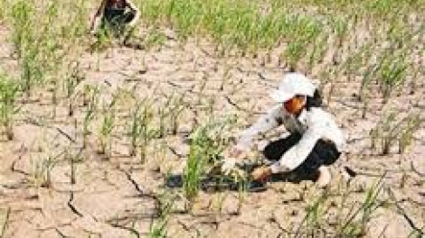 Bình Định đhanuôr zr’nắh k’đháp bhlầng đương zêl cha groong ch’noong goóh