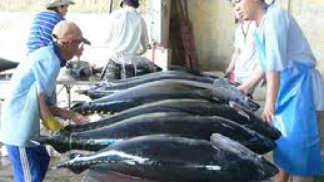 Pa dưr dal râu liêm choom ooy kinh tế âng axiu ngừ đại dương