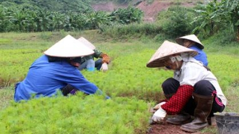 Tổ hợp tác- Pr’đhang bhrợ t’váih bh’rợ đoọng ha pân đil