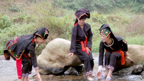 PHIÊN CHỢ NGÀY XUÂN_ QUANG VIỆT