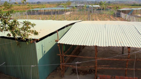 Kon Tum: Mơnhên tơdroăng kăn [o# pơkâ chêl thie#n liăn ki xôi tơdroăng pơkâ