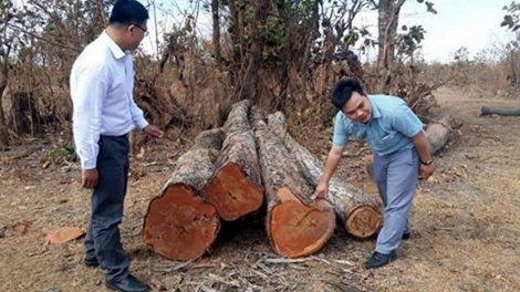 Roh hôp má 5, Ho#i đông hnê ngăn kong pơlê Dak Lak hneăng 9 : Kong  xuân oh tá tơniăn