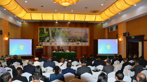 Hâi kơphế Việt Nam roh má 1