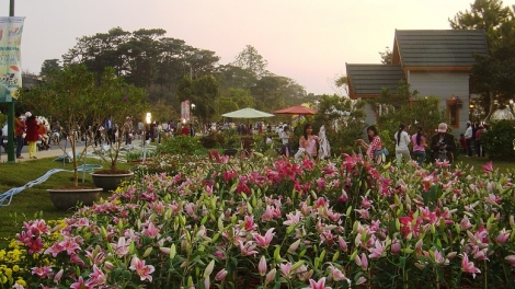 Fetival reăng  Đà Lạt rôh má  7 po sap lơ  23 troh lơ 27/12