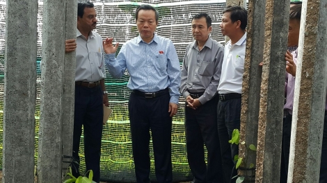 Gia Lai mơdêk tơru\m pêi chiâk deăng