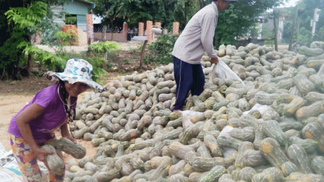 Gia Lai: Tơ-uâ tê ai yă, kuăn pơlê châ xo dêi liăn laih hên