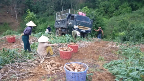 Kon Tum: Rơnó lâk pôm hiăng troh la xuân ối tô tuăn