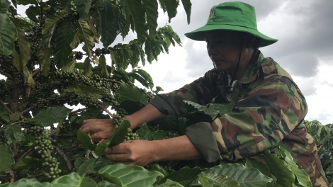 Ngế ‘’kơhnâ hnoăng cheăng pơlê pơla’’ pêi cheăng kâ rơkê a Dak Lak