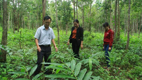 Kon Tum hơnăm 2018: Châ tơ-[rê tung mơdêk tơdroăng rêh ối vâi krâ hdroâng kuăn ngo