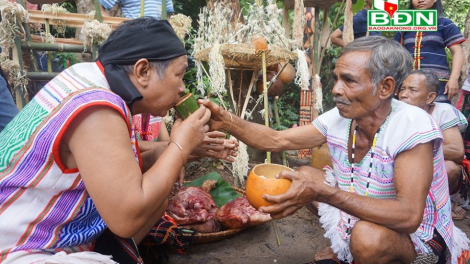 T^ng rơkâu xối xeăng kong dêi hdroâng Mạ