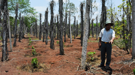 Dak Lak: Mơngế pêt tiu trâm pá xua ôa hdrong kâ ‘nhê [a\ yă chu rơpâ