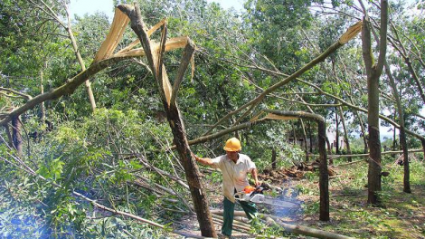 Kon Tum: Rơnêu kế tơmeăm ki tro tơ’nhê xua jâ kơdo rơvê