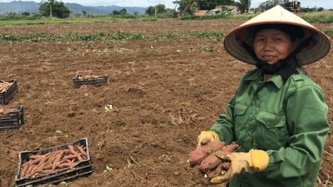Dak Lak: Pôm ló Nhuk chu rơpâ yă mơngế ki pêt trâm pá