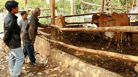 Ngế ki djâ troăng a hdrối A Gliêu