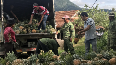 Dak Lak: Xik chu yă rơpâ ó, kuăn pơlê ôh tá vâ krí xo dêi