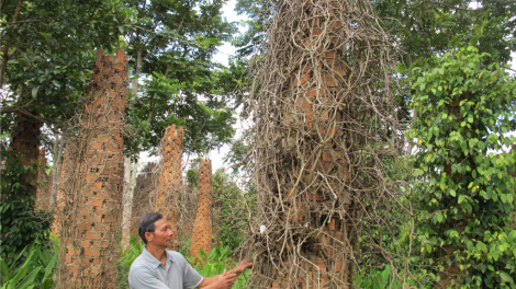 Dak Lak: Tiu hlâ hên h^n, kuăn pơlê chiâng che\n