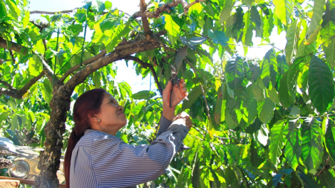Kon Tum: Ngế Rơteăng ki pêi châ rơtal liăn a tơring tơkăng kong Ngọc Hồi
