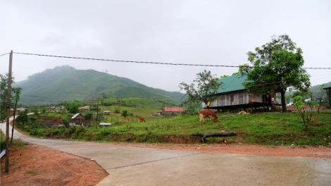 Tôtô hiâm mơno pâ mơngế a kơpong tro khía mơhot kân plong mot Yang Mao