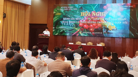 ‘Mâi pêt kơphế kal tơmiât troh ki krá tơniăn, ton xo\n