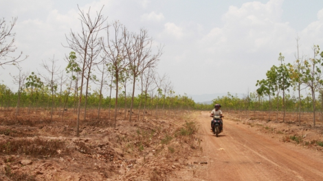 Ki phá tơ-ê tơdroăng ôh tá bê tơnêi a Tây Nguyên