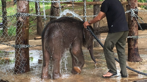 Khu tơru\m ngăn kuăn kiâ kong châu Á to\ng kum pơtối rak ngăn rui a Dak Lak