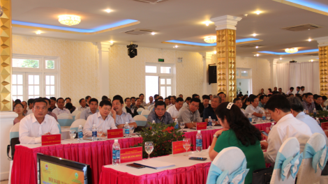 Hnê tơdroăng cheăng mơdât xía vâ xua kong prâi pro [ă mơjiâng thôn pơlê nếo a Tây Nguyên