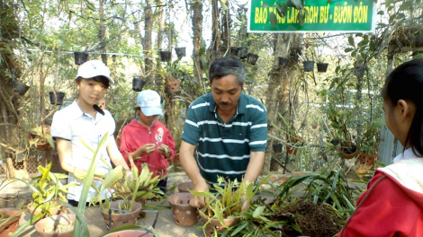 Dak Lak: Tơdroăng ki mơhúa rak vế reăng r^ng kong dêi mâu ngế ki hâk git reăng