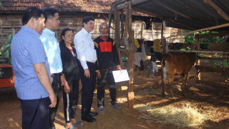 Djâ Hơngưi tơtô troh mơngế kơtiê pá puât a Dak Lak