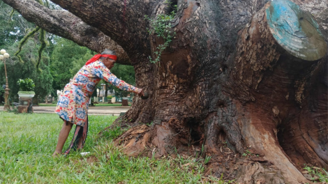 T^ng rơkâu xối kếo loăng-tơdroăng nhuo#m kong loăng dêi mơngế Rơđế