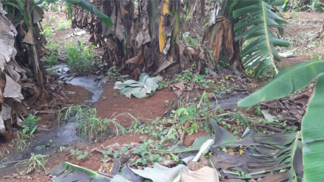 Dak Lak: ‘Mêi hyôh kong prâi a cheăm }ư\ Êbuôr