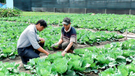 Đăk Pơ: Kuăn pơlê pêi lo liăn tơniăn sap ing pêt kơchâi drêh