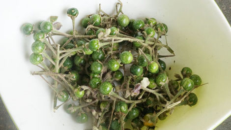 Ki kơhiâm dêi kơchâi pró xăng [ă kéa kơpôu dêi mơngế K’ho