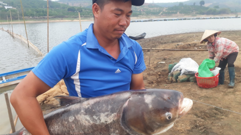 Kon Tum: Ngế mô đo#i hneăng hdrối nah tơmiât tơ-ê, pro kro mơdro\ng ing tơdroăng păn ká