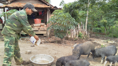 Kon Tum: Hluăn kơtiê kơnôm ing ki tơ-[rê liăn mơhá ăm hnoăng rak ngăn kong