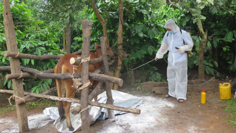Kon Tum: Pơreăng a mơnăn mơnoâ tâ tú a tơring Đăk Hà