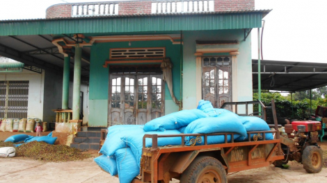 A Kut: Ngế Rơteăng ki cheăng kâ rơkê, ai tuăn hiâm hơ-ui kum ngế ki ê