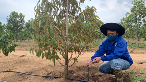 Bài 4: Troăng hơlâ hbrâ ví tô mơdrăng khăng khoăng ăm 2 rơtuh ha loăng plâi pêt a Tây Nguyên