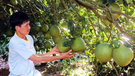 Dak Rlâp – Dak Nông: Kho\m pêi klêi tơdroăng pơkâ thôn pơlê nếo