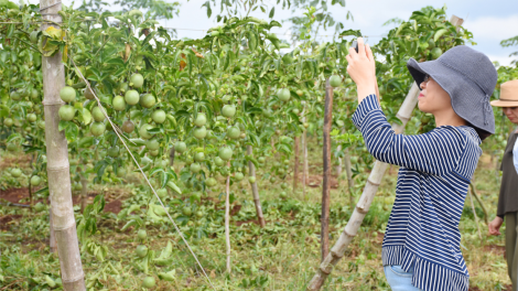 Khu xiâm pơkuâ ‘na chiâk deăng – mơnhông thôn pơlê tơpui tơno ‘na pêt tơniăn krui kơxái