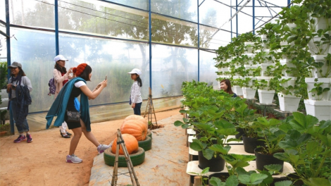 Ti lâi Đà Lạt – Lâm Đồng pơtê pơtân mơnhông ôm hyô a chiâk deăng