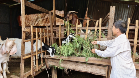 Tơpuâ pu pái hluăn kơtiê ‘’ a Gia Lai