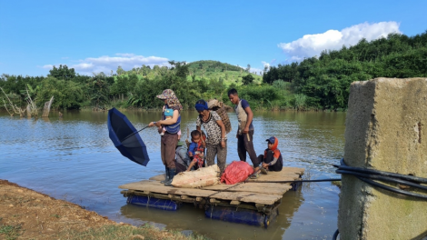 Gia Lai: Kông pro tá teăm klêi, kuăn pơlê pro xêh plong vâ kơto tơkâ luâ têa kroăng
